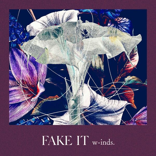 File:winds - FAKE IT.jpg