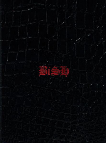 File:BiSH - stereo future lim.jpg