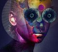 DEG - The Insulated World lim BR DVD.jpg