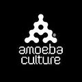 Amoeba Culture.jpg