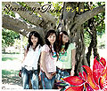 Thumbnail for version as of 05:39, 16 January 2012