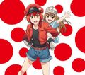 Thumbnail for version as of 14:00, 13 July 2018