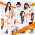 EXID - TROUBLE lim.jpg