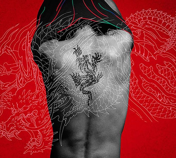 File:Hane IB limited pro.jpg