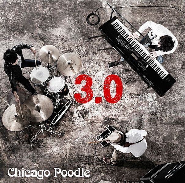 File:Chicago Poodle 30.jpg