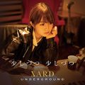 SARD UNDERGROUND - Sukoshizutsu Sukoshizutsu reg.jpg