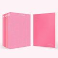 BTS - MAP OF THE SOUL PERSONA physical.jpg