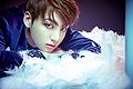 Jungkook-Wings.jpg