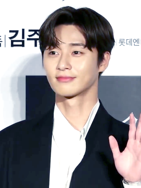 File:Park Seo Joon 2019.png