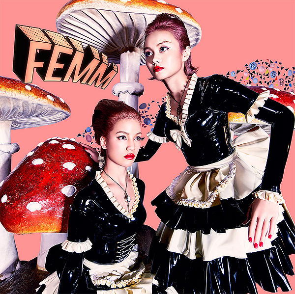 File:FEMM - PoW! LCS.jpg