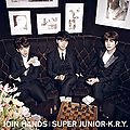 SJ KRY - JOIN HANDS CD.jpg