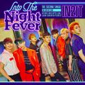 IN2IT - Into The Night Fever.jpg