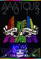 AAA TOUR 2013 Eighth Wonder1.jpg