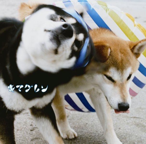 File:Kimaguren - ALIVE CDDVD.jpg