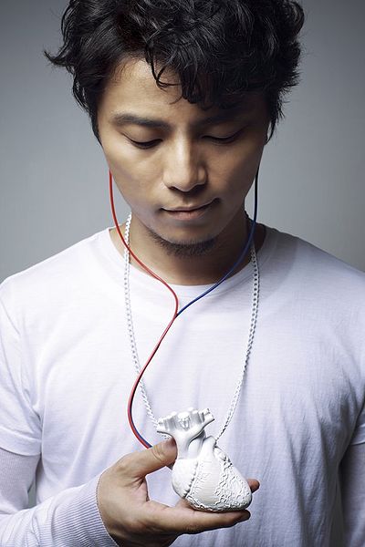 File:KREVA Shinzou Promo.jpg