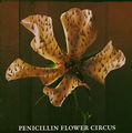 PENICILLIN - FLOWER CIRCUS Reg.jpg