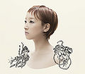 Thumbnail for version as of 21:41, 26 May 2012