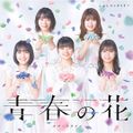 Kobushi Factory - Seishun no Hana lim A.jpg