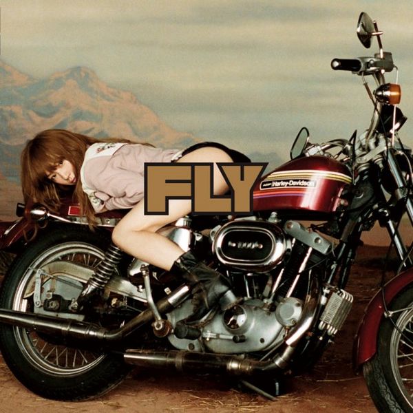 File:YUKI - FLY analog.jpg