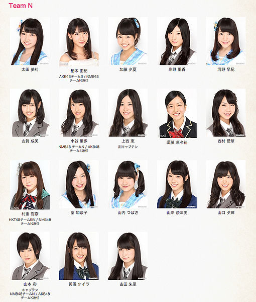 File:NMB48TeamN2014Shuffle.jpg