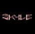 SKYLE logo.jpg