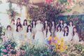 AKB48 - Colorcon Wink promo.jpeg