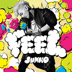 JUNHO From 2PM SOLO TOUR 2014 FEEL パンフ