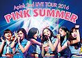 apink2ndtour2.jpg