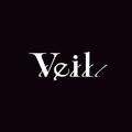 Veil logo.jpg