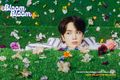 Younghoon - Bloom Bloom promo.jpg