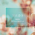 Raina - I Don't Know cover.jpg