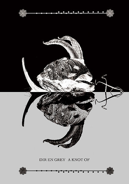 File:A KNOT OF.jpg