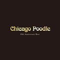 10th Anniversary Best Chicago Poodle Reg.jpg