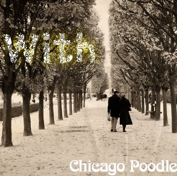 File:Chicago Poodle with.jpg