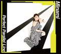 Minami Kuribayashi - Perfect Parallel Line.jpg