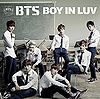 BTS - BOY IN LUV reg.jpg
