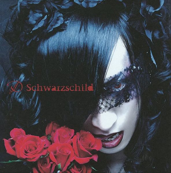 File:D-Schwarzschild-Front.jpg