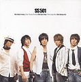 SS501 sd.jpg