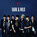 BTS - DARK & WILD JPN.jpg