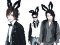 BUNNY LOVE Promo.jpg