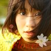 Maeda Atsuko - Flower 1.jpg