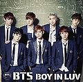 BTS - BOY IN LUV lim B.jpg