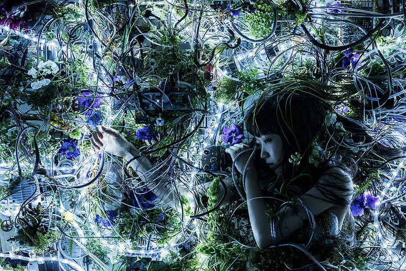File:Aimer - ninelie promo.jpg
