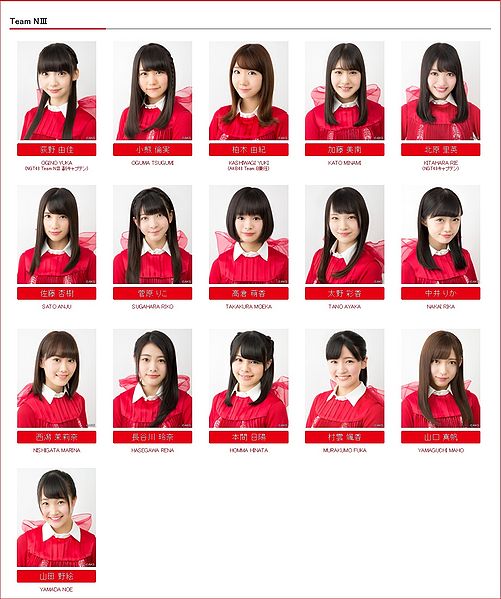 File:NGT48 Team NIII 2017.jpg