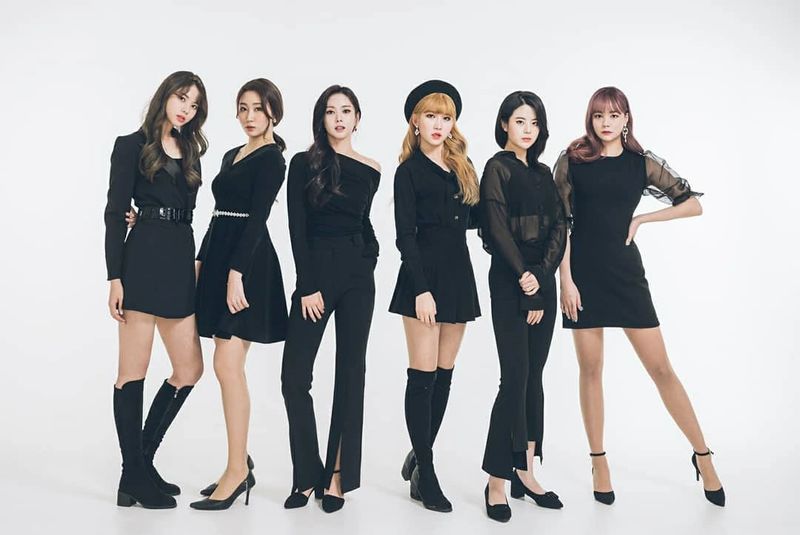 File:BLUE FOX 2020.jpg