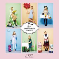 Nishino Kana - Torisetsu reg.jpg