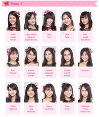 Member Jkt48 2019