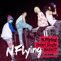 NFlying - Basket cover.png