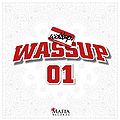 wassup-wassup.jpg