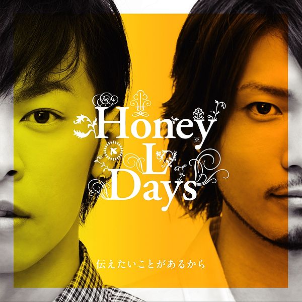 File:Honey L Days - Tsutaetai CD.jpg